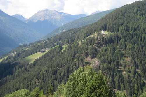 Ultental - St. Moritz